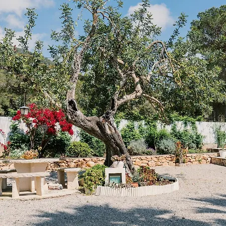 Villa Pep Gibert Ibiza Town